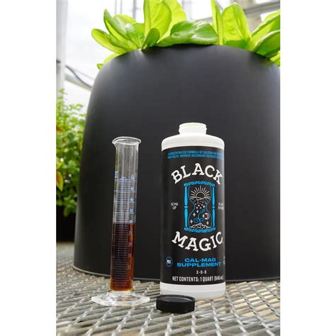 Black Magic Fertilizer: A Must-Have for Gardening Enthusiasts